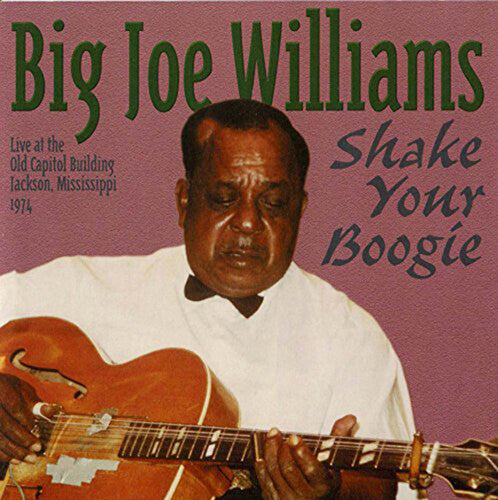 Big Joe Williams: Shake Your Boogie - Record