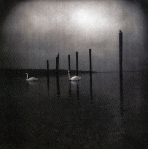 Om: Conference of the Birds - CD