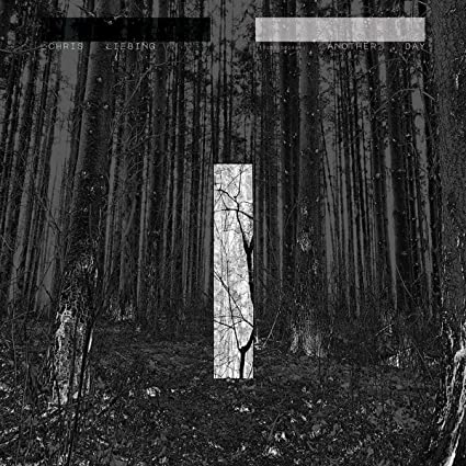 Chris Liebing: Another Day - Record