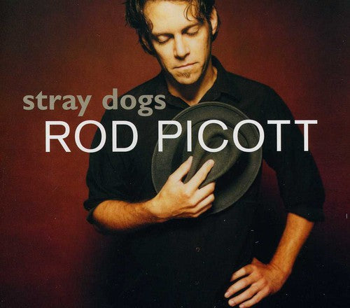 Rod Picott: Stray Dogs - Record
