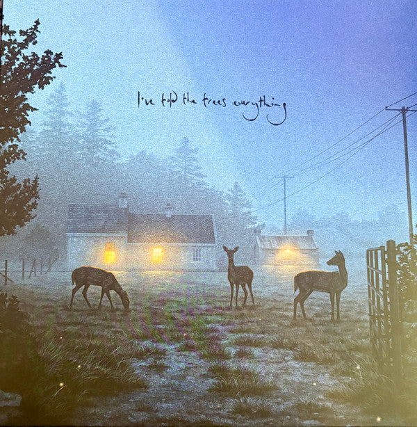 Dermot Kennedy- I've Told The Trees Everything { VINYL LP }
