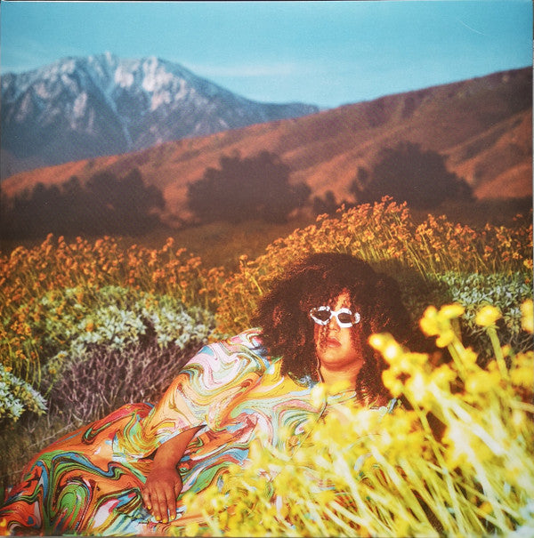 Brittany Howard- What Now { VINYL LP }
