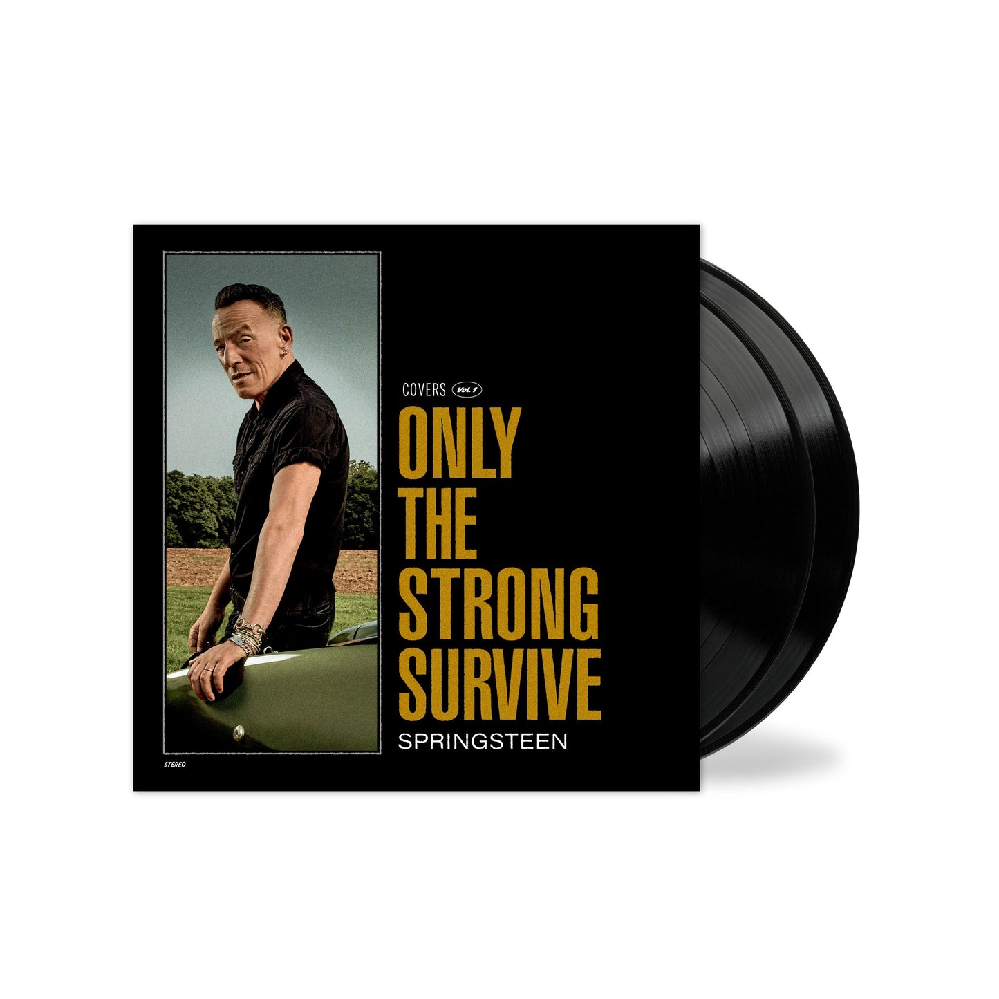 Bruce Springsteen- Only The Strong Survive { VINYL LP }