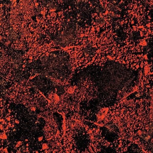 King Gizzard and the Lizard Wizard- Murder Of The Universe (Live At Red Rocks 2022) { VINYL LP }