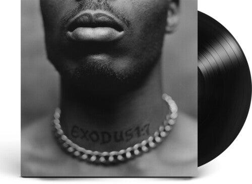 DMX- Exodus { VINYL LP }