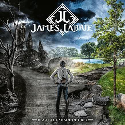 James LaBrie (Dream Theater)- Beautiful Shade Of Grey { VINYL LP }