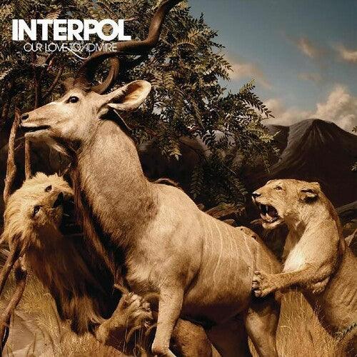 Interpol- Our Love To Admire { VINYL LP }