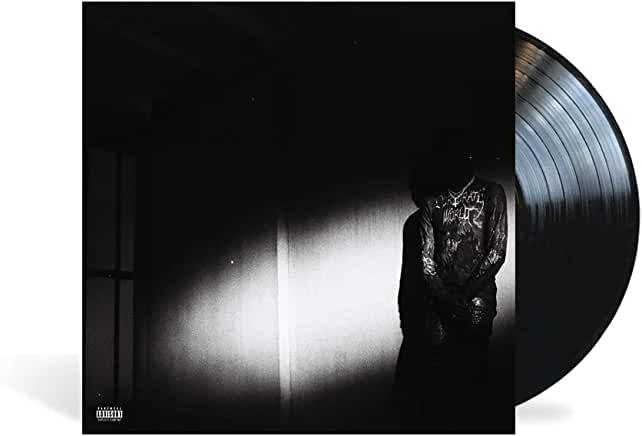 Destroy Lonely- No Stylist { VINYL LP }