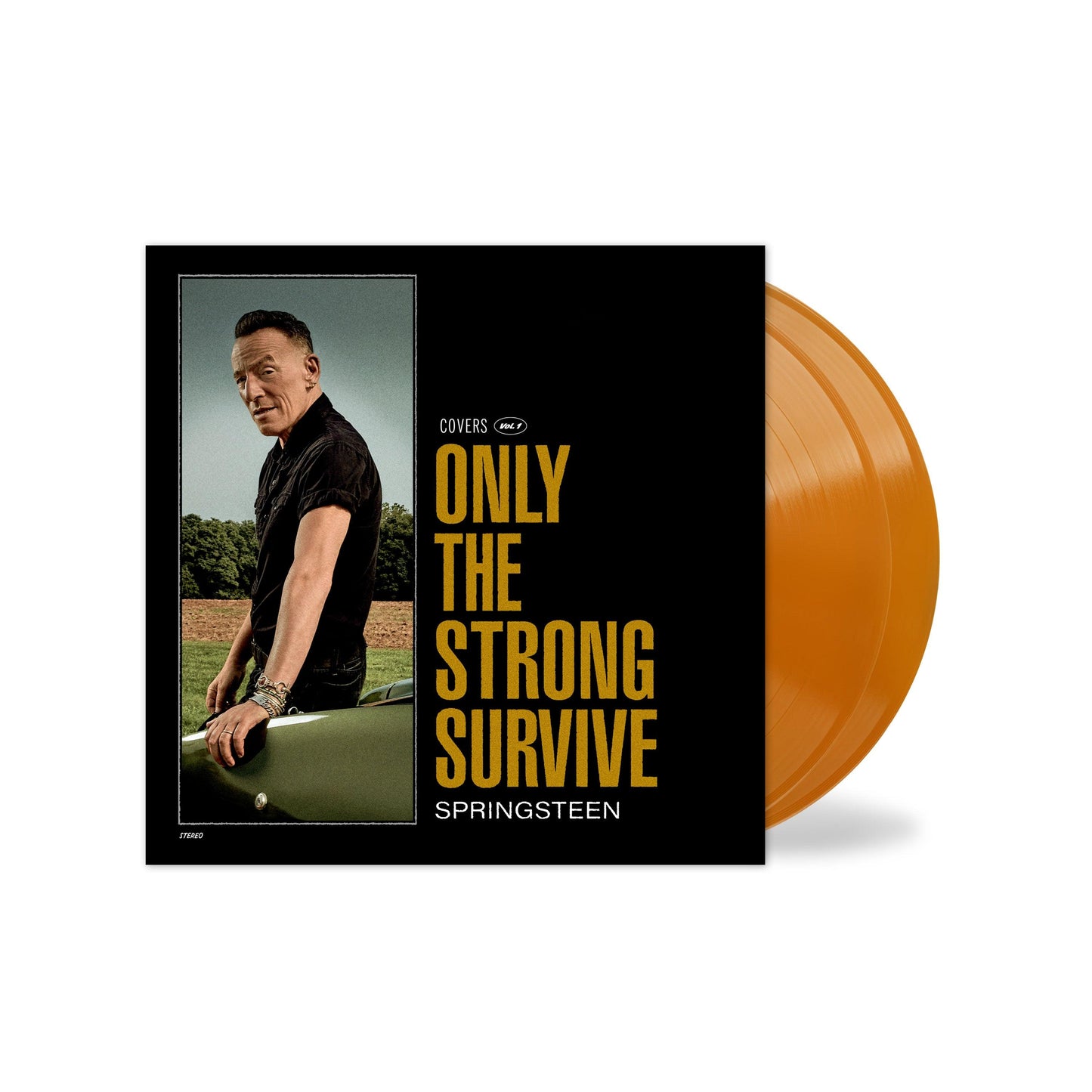 Bruce Springsteen- Only The Strong Survive (Indie Exclusive Orbit Orange Vinyl) { VINYL LP }