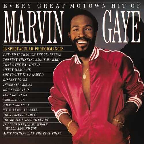 Marvin Gaye- Every Great Motown Hit Of { VINYL LP }