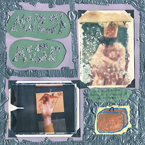 Modest Mouse- Sad Sappy Sucker { VINYL LP }