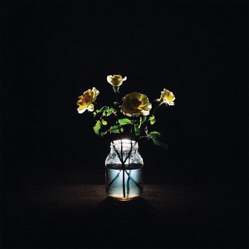 Billy Strings- Renewal { VINYL LP }