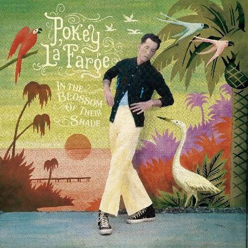 Pokey LaFarge- In The Blossom Of Their Shade { VINYL LP }
