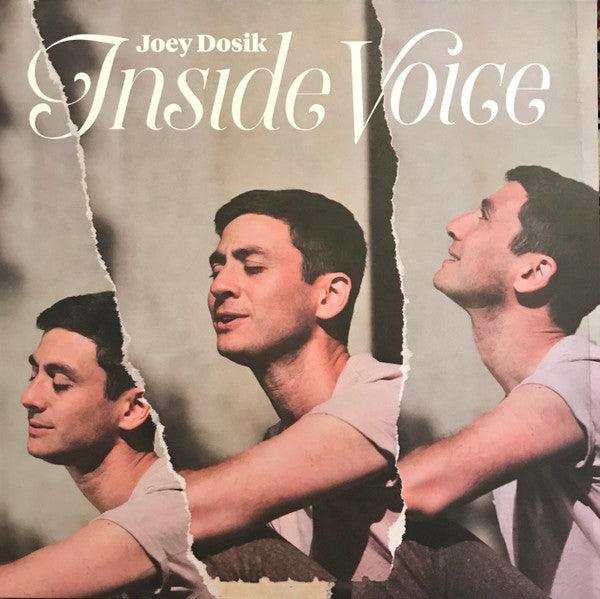 Joey Dosik (Vulfpeck)- Inside Voice { VINYL LP }