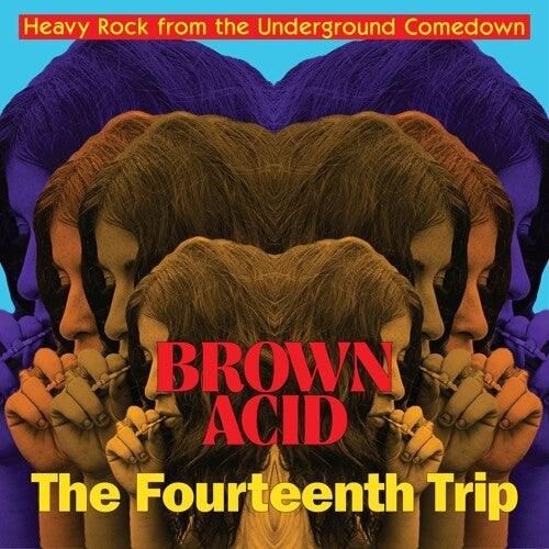 Various- Brown Acid: Fourteenth Trip { VINYL LP }