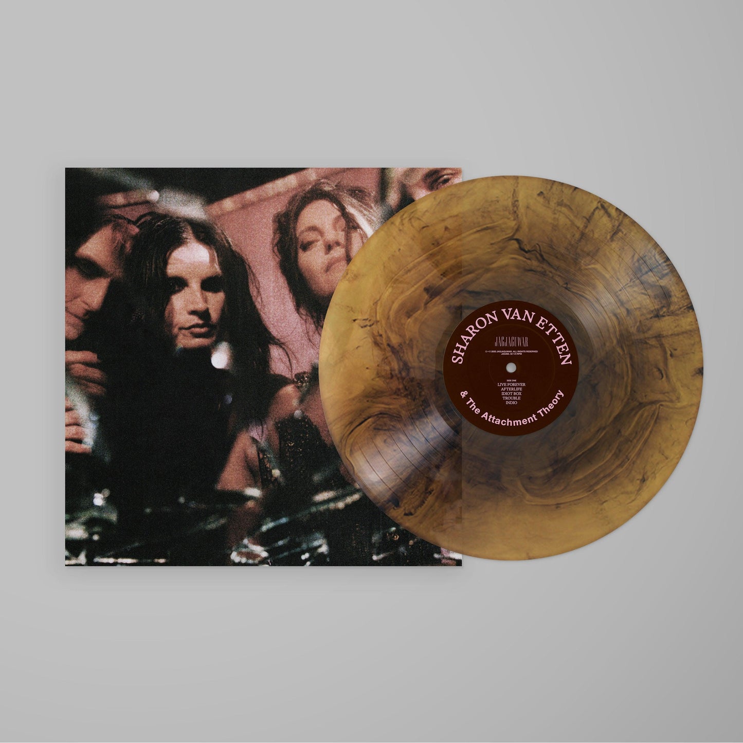Sharon Van Etten & The Attachment Theory- Sharon Van Etten & The Attachment Theory { VINYL LP }
