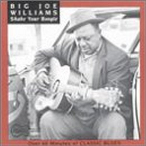 Big Joe Williams: Shake Your Boogie - Record