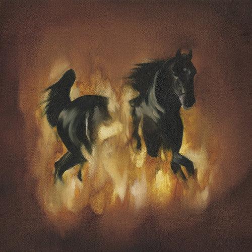 The Besnard Lakes- The Besnard Lakes Are The Dark Horse { VINYL LP }