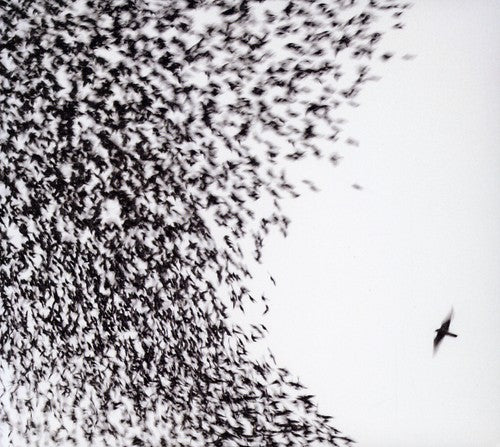 Wilco: Sky Blue Sky - Record
