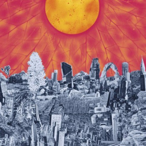 Parts & Labor- Mapmaker { VINYL LP }