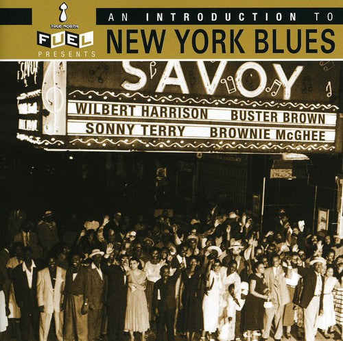 Various Artists: Intro to New York Blues / Various - Record
