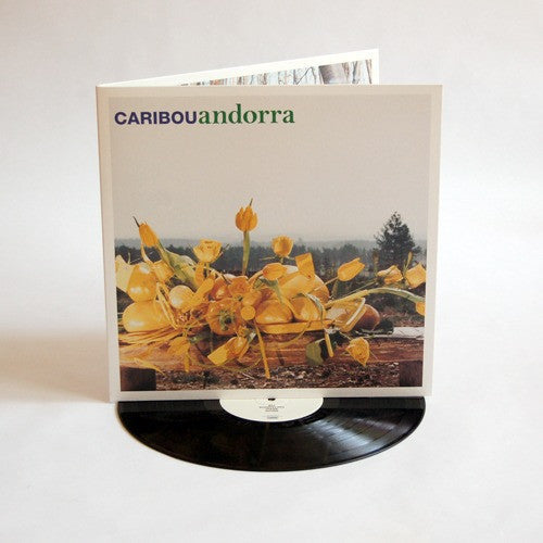 Caribou: Andorra - Record