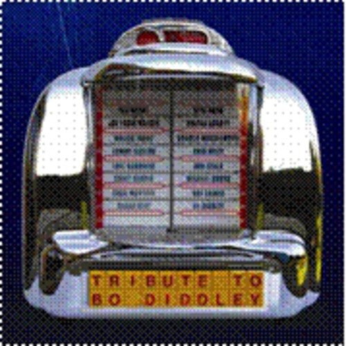Various Artists: Tribute to Bo Diddley - Record
