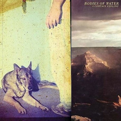 Bodies of Water: A Certain Feeling - Record