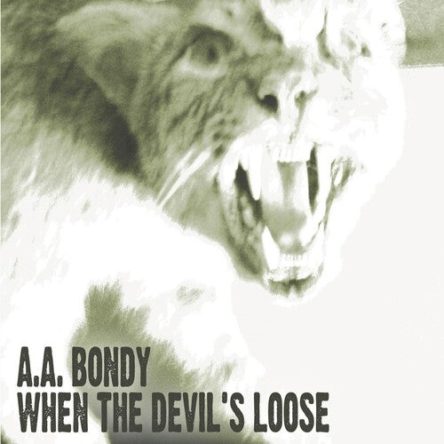 A.A. Bondy: When the Devil's Loose - CD