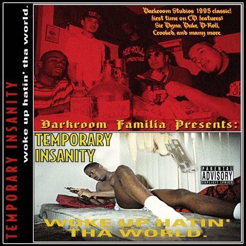 Temporary Insanity: Woke Up Hatin Tha World - Record