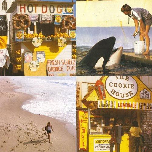 Best Coast- Something in the Way { VINYL LP }