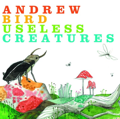 Andrew Bird: Useless - Record