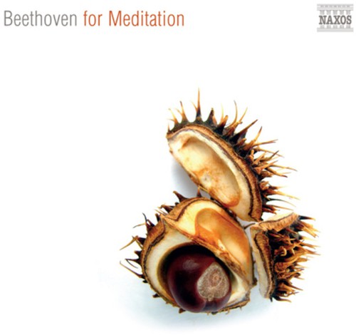 Beethoven for Meditation: Beethoven for Meditation - Record