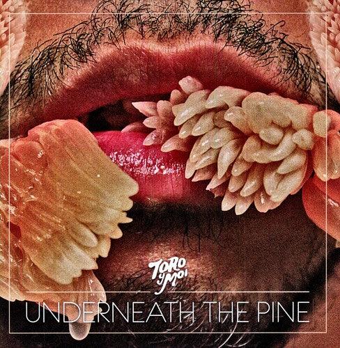 Toro y Moi- Underneath the Pine { VINYL LP }