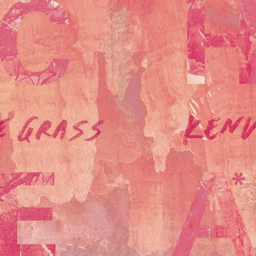 Cheatahs: Cut the Grass / Kentworth - 7-INCH SINGLE