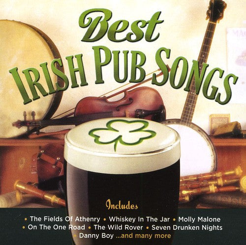 Various Artists: Best Irish Pub Songs - Record