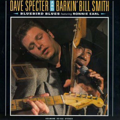 Dave Specter: Bluebird Blues - Record