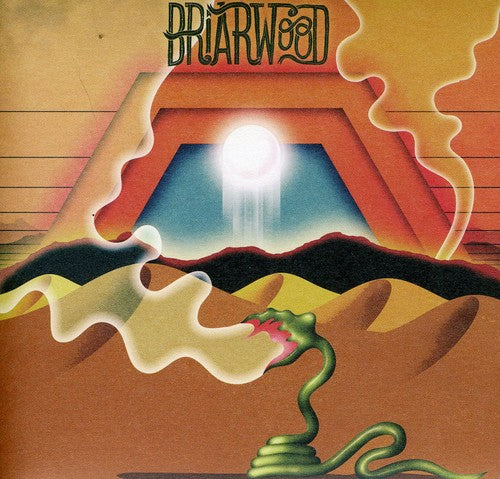 Wooden Wand & the Vanishing Voice: Briarwood - Record