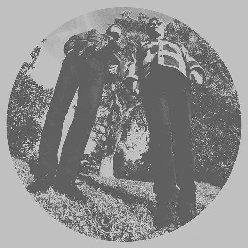 Ty Segall- Hair [LP] { VINYL LP }