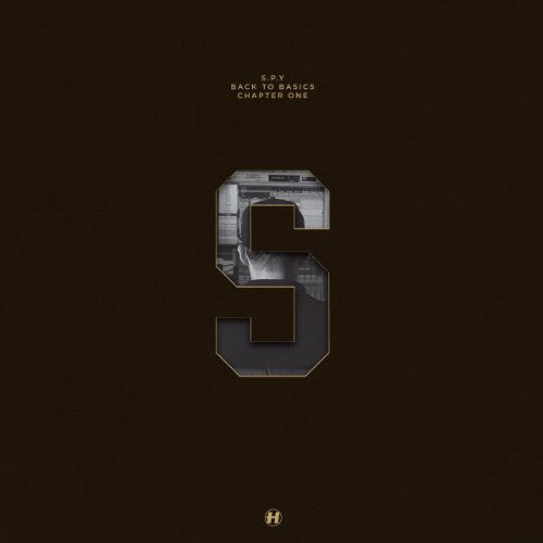 S.P.Y: Back To Basics Chapter One - Record