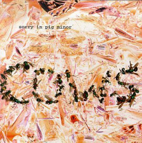 The Cows: Sorry in Pig Minor - CD