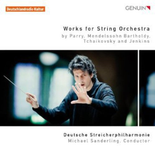 Michael Sanderling: Works for String Orchestra - Record