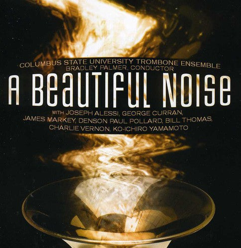 Bradley Palmer: Beautiful Noise - Record