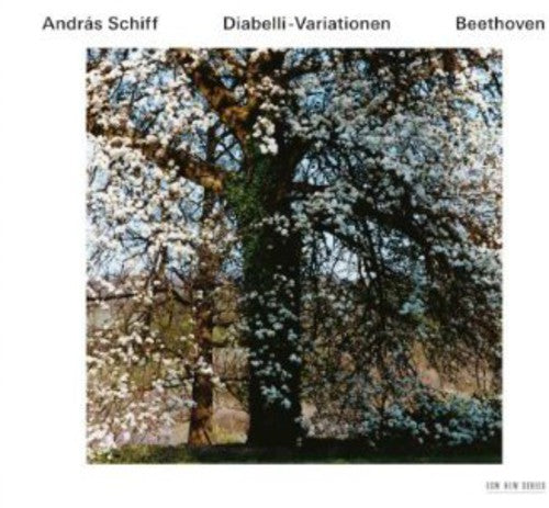Ludwig van Beethoven: Diabelli Variations - Record