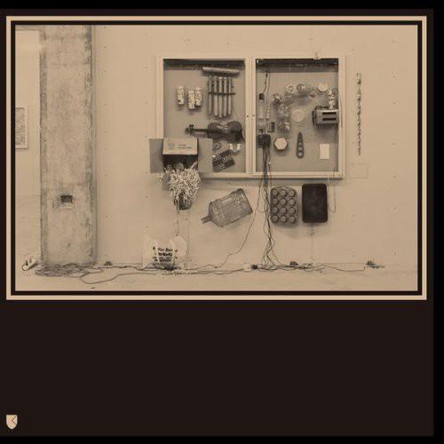 David Van Tieghem- Fits & Starts { VINYL LP }