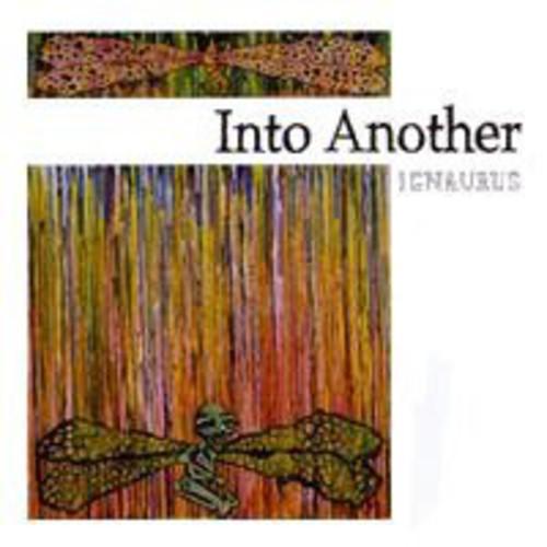 Into Another- Ignaurus { VINYL LP }