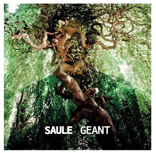 Saule: Geant - Record