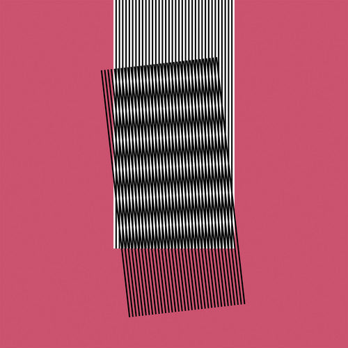 Hot Chip: Why Make Sense - VINYL