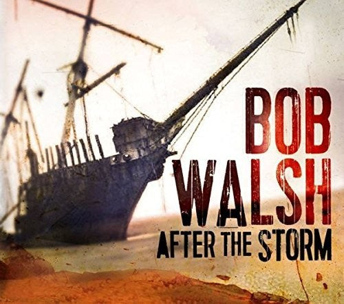 Bob Walsh: After the Storm - Record