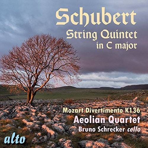 Schubert / Mozart / Aeolian Quartet / Schrecker: String Quintet in C Major / Divertimento in D - Record